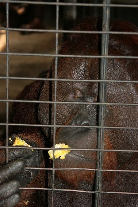 Pata Zoo in Bangkok, Thailand