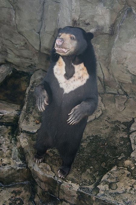 Pata Zoo in Bangkok, Thailand