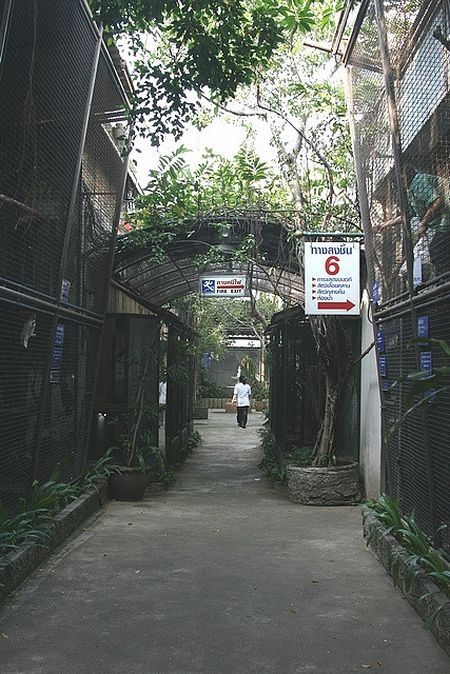 Pata Zoo in Bangkok, Thailand