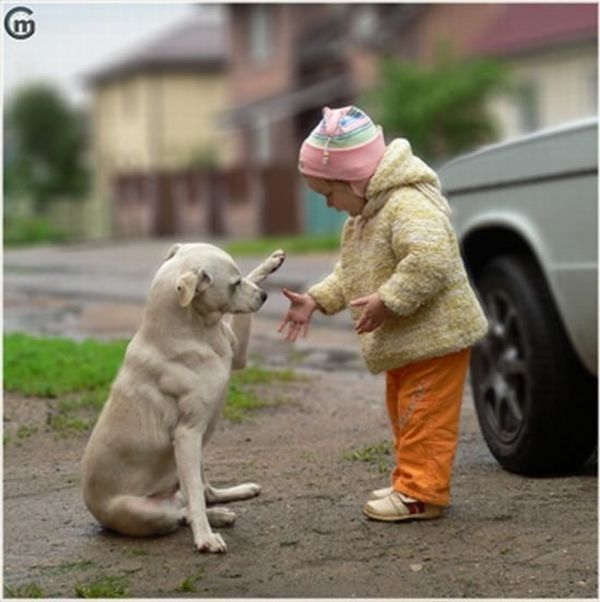 dog and the child friends