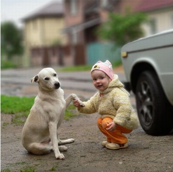 dog and the child friends