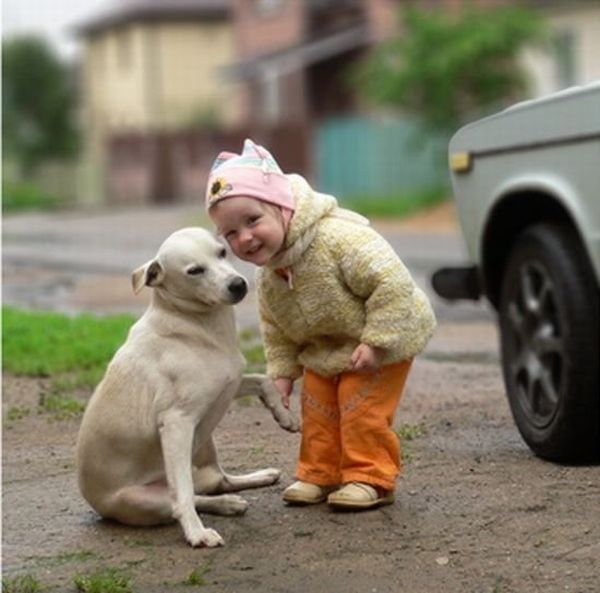 dog and the child friends