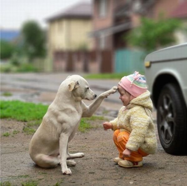 dog and the child friends