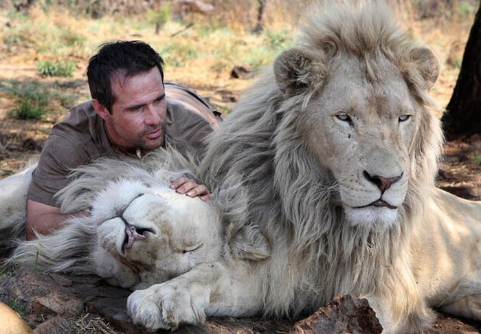 The Lion Whisperer - Kevin Richardson