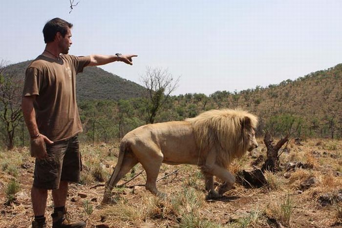 The Lion Whisperer - Kevin Richardson