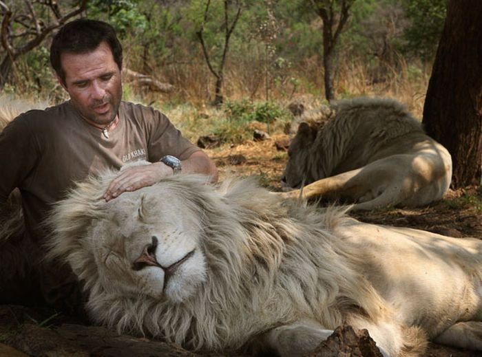 The Lion Whisperer - Kevin Richardson