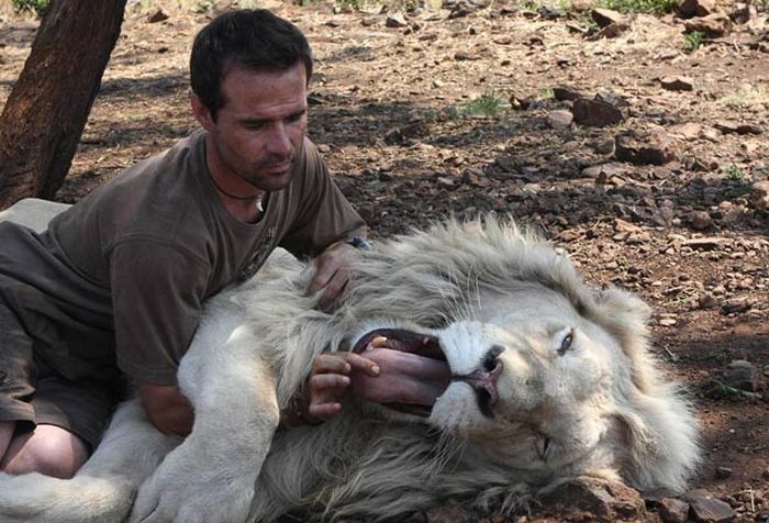 The Lion Whisperer - Kevin Richardson