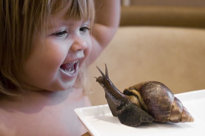 snails and a baby