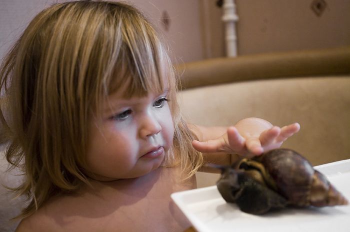 snails and a baby