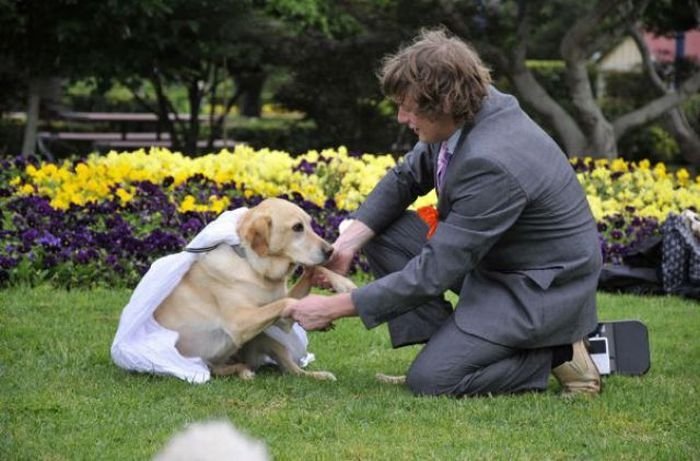 Man married his dog, South East Queensland, Australia