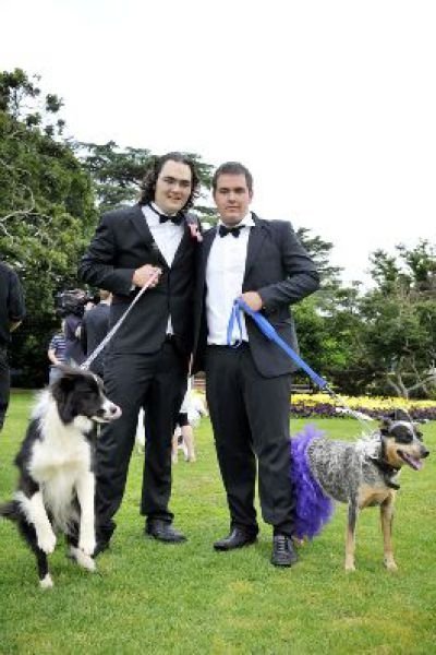 Man married his dog, South East Queensland, Australia