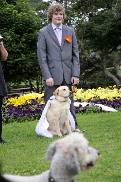 Man married his dog, South East Queensland, Australia