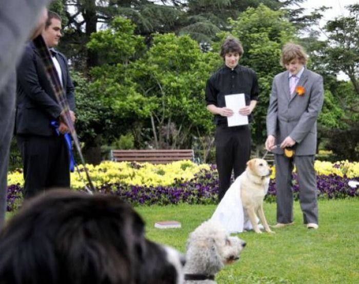 Man married his dog, South East Queensland, Australia