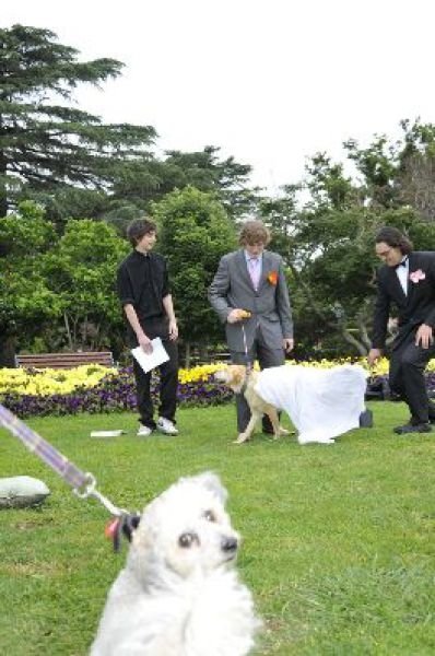 Man married his dog, South East Queensland, Australia