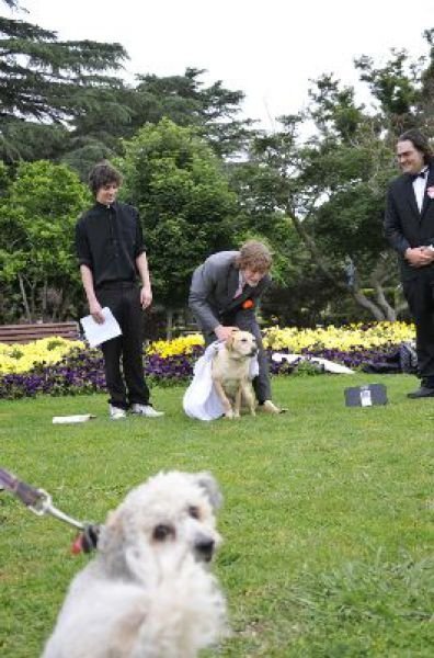 Man married his dog, South East Queensland, Australia