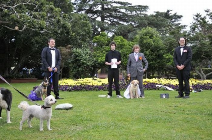 Man married his dog, South East Queensland, Australia