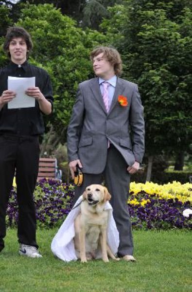 Man married his dog, South East Queensland, Australia