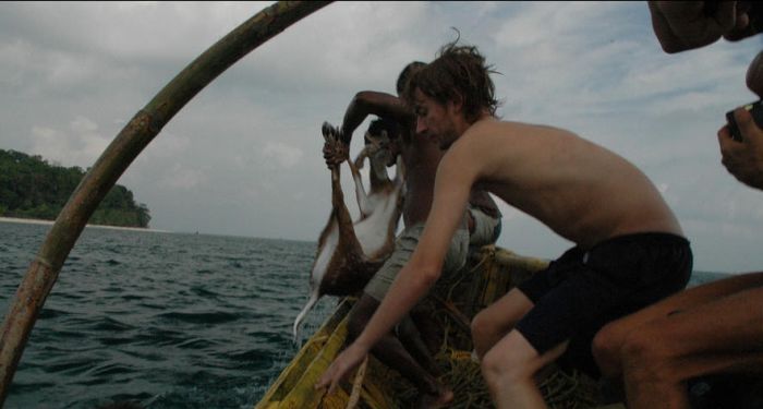 Saving a deer, Havelock Island