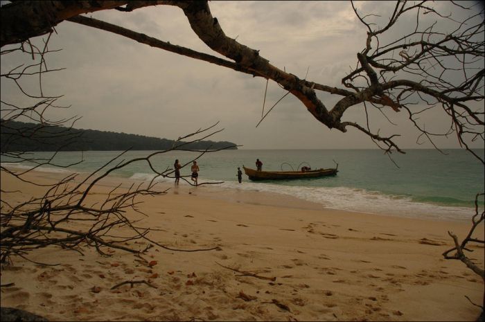 Saving a deer, Havelock Island