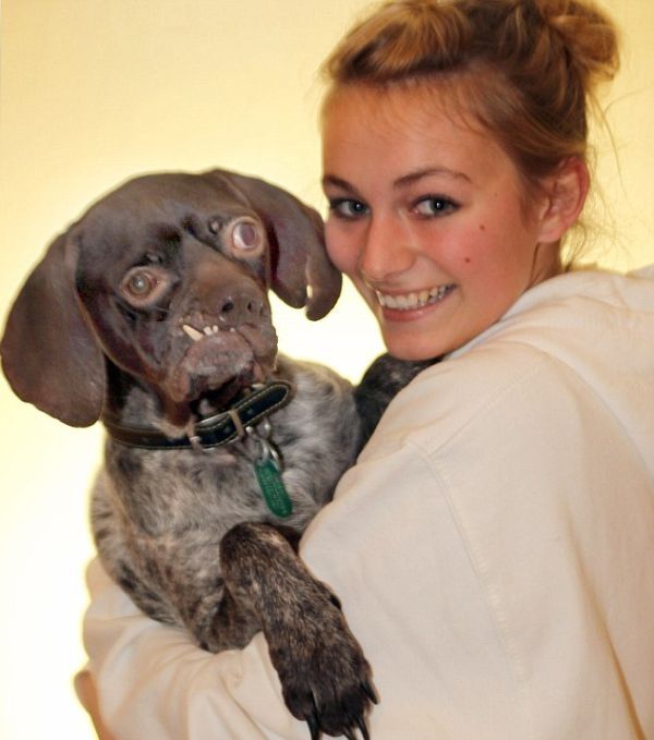 Doug, Britain's ugliest dog found new home