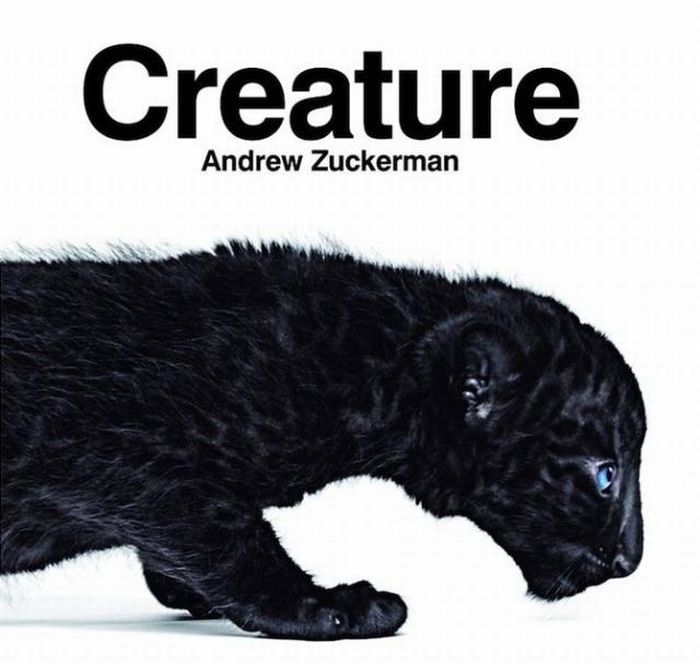 Animal portrait by Andrew Zuckerman