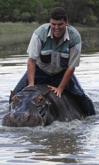 Marius Els and his pet hippo Humphrey, South Africa