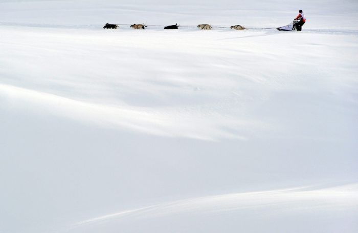 SWITZERLAND FRANCE DOG SLEDGE 'LA GRANDE ODYSSEE'