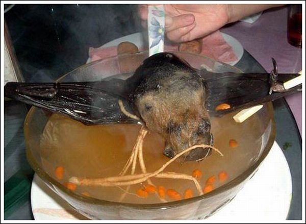 delicious bat soup