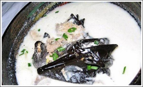 delicious bat soup