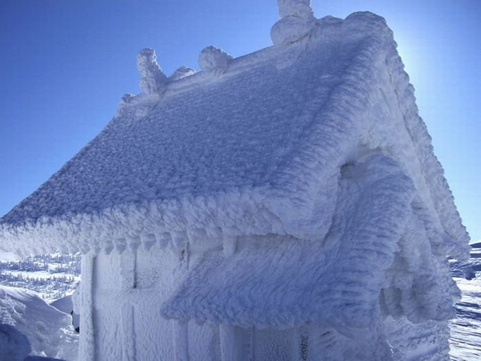 snow monsters, juhyou, frost-covered trees