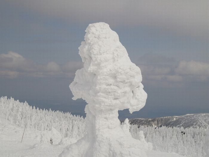 snow monsters, juhyou, frost-covered trees