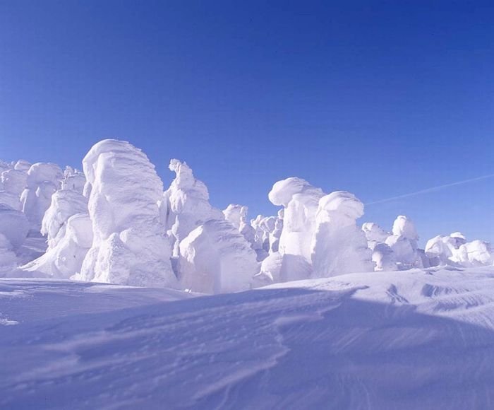 snow monsters, juhyou, frost-covered trees