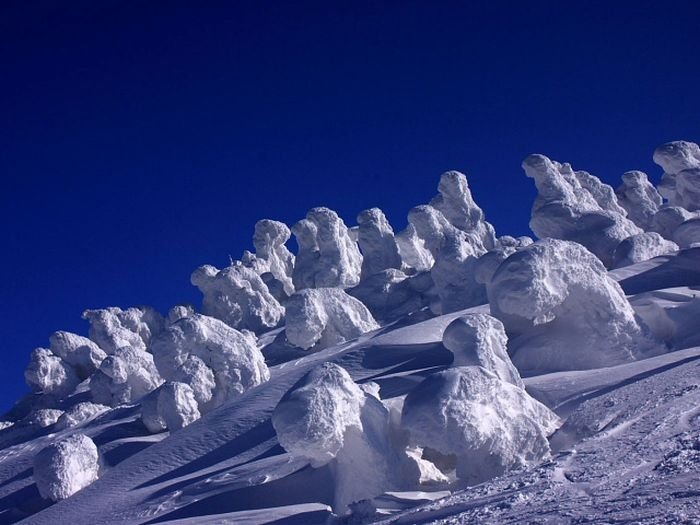 snow monsters, juhyou, frost-covered trees