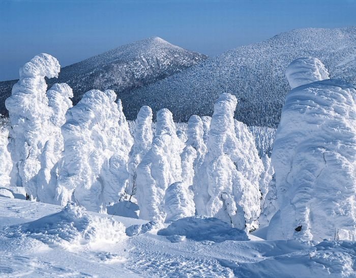 snow monsters, juhyou, frost-covered trees