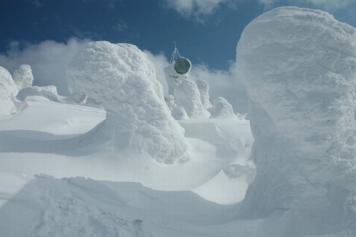 snow monsters, juhyou, frost-covered trees