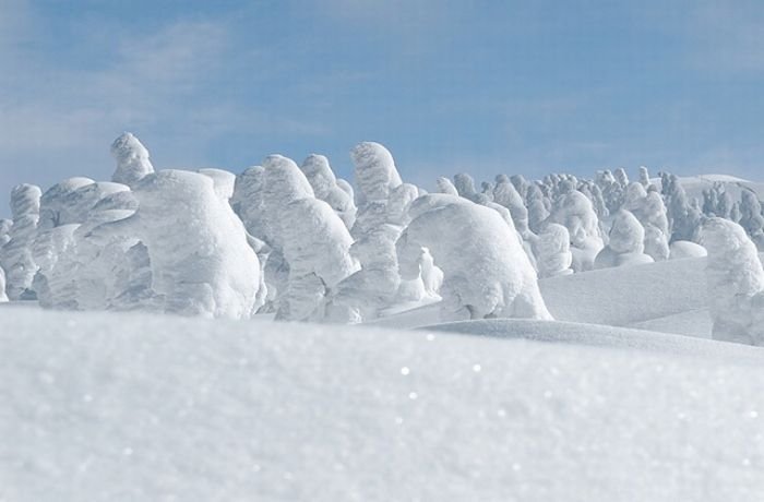 snow monsters, juhyou, frost-covered trees