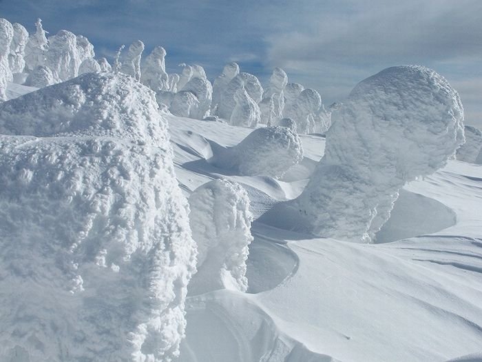 snow monsters, juhyou, frost-covered trees