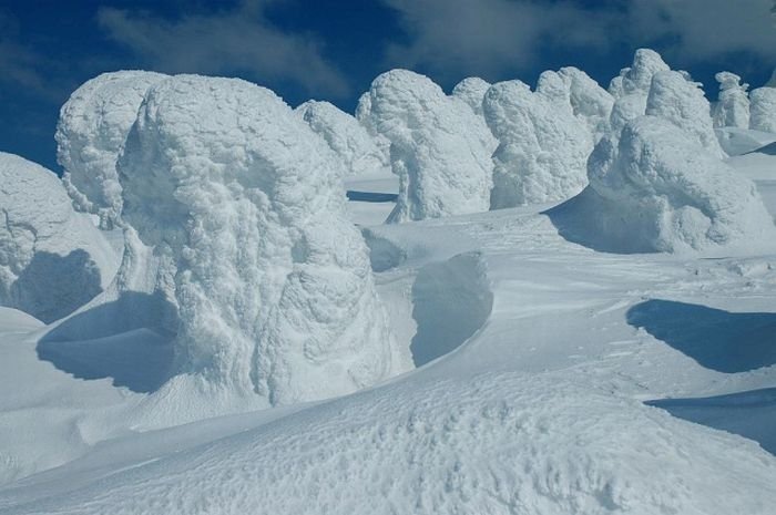 snow monsters, juhyou, frost-covered trees