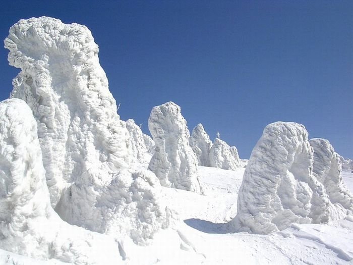 snow monsters, juhyou, frost-covered trees