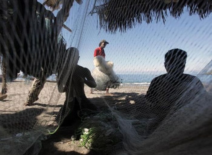 Whale hunting, Indonesia