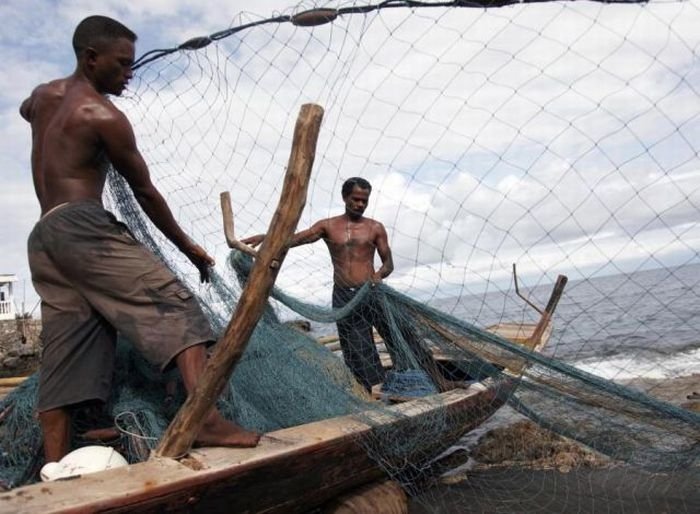 Whale hunting, Indonesia