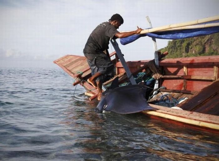 Whale hunting, Indonesia