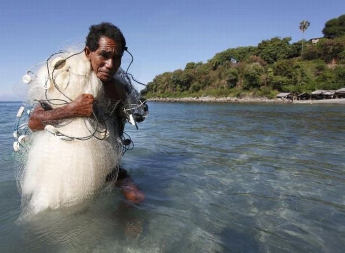 Whale hunting, Indonesia