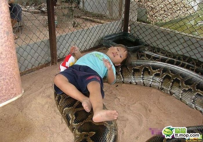 child playing with a large snake