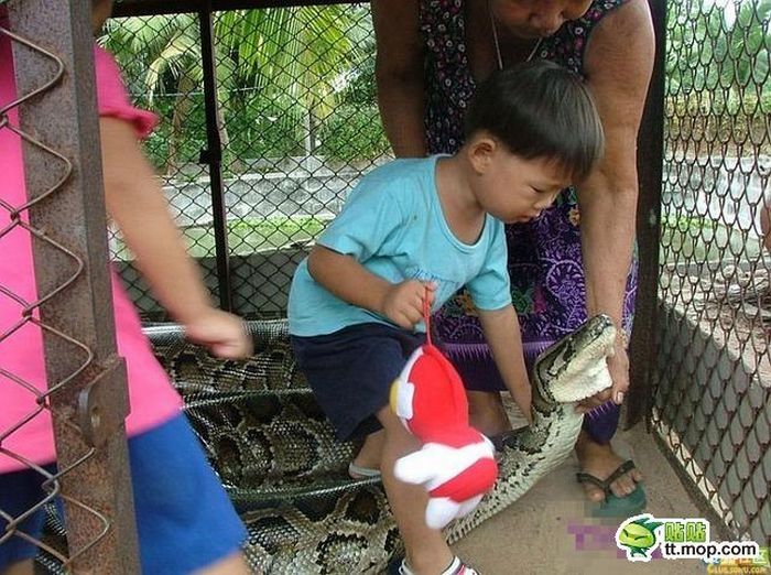 child playing with a large snake