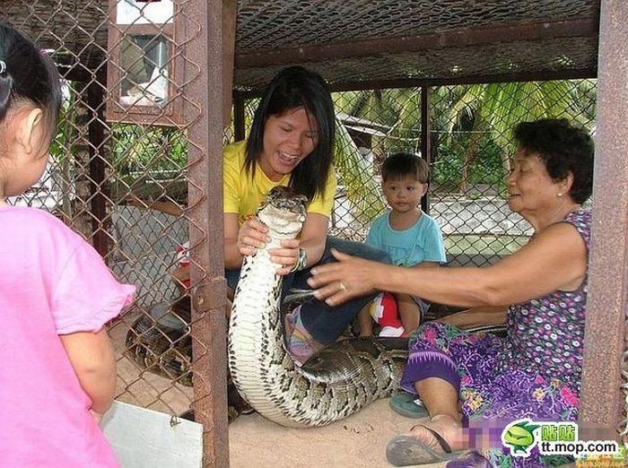 child playing with a large snake