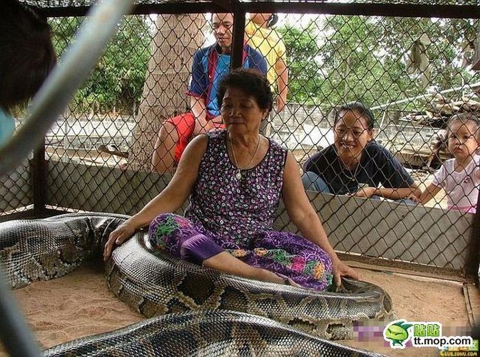 child playing with a large snake