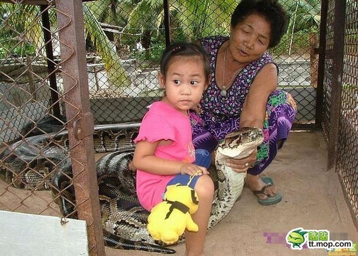 child playing with a large snake