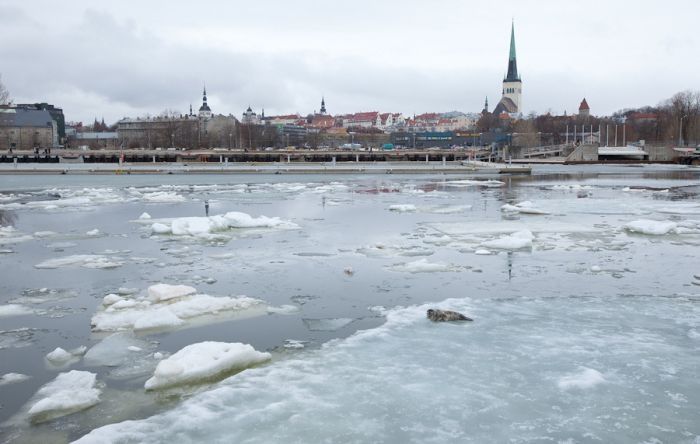 City seal morning routine, Tallinn, Estonia