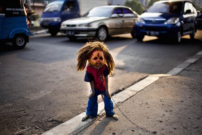 Monkey performs on the street, Indonesia